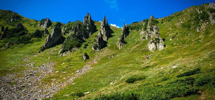Шпиці, Ребра, Котли