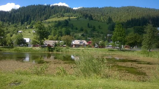 WP_20170615_100.jpg