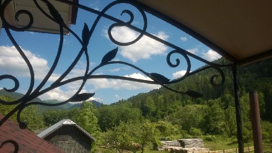 WP_20170615_053.jpg