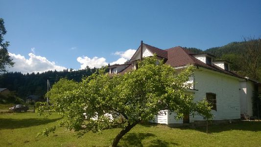 WP_20170615_092.jpg
