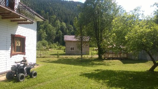 WP_20170615_083.jpg