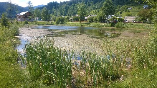 WP_20170615_099.jpg