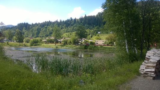 WP_20170615_098.jpg