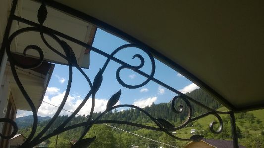 WP_20170615_029.jpg
