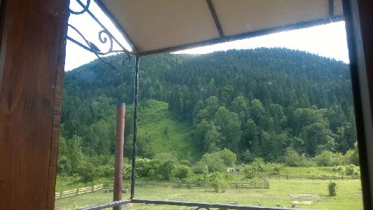 WP_20170615_061.jpg