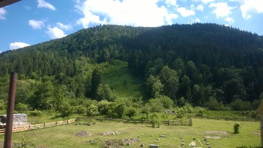 WP_20170615_052.jpg
