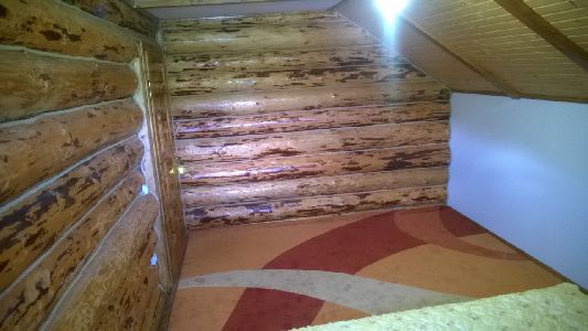 WP_20170615_071.jpg